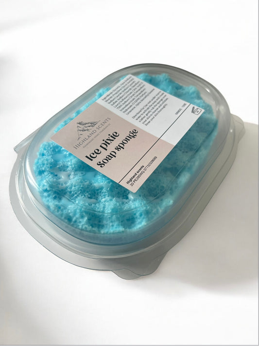 Exfoliating soap sponges