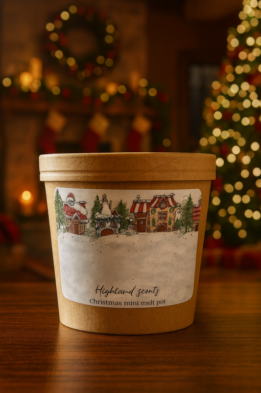 Christmas mini melt pot